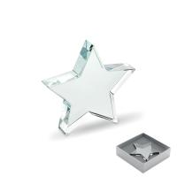 Glass star award