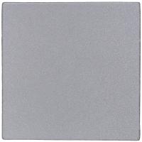 Лейбл светоотражающий Tao, L