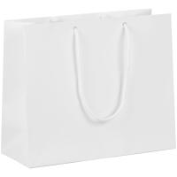 Пакет бумажный с ламинацией Lami Tote S
