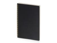 Бизнес-тетрадь А4 Pragmatic