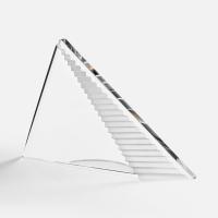 Стела Success Steps