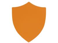 Патч Щит, soft-touch