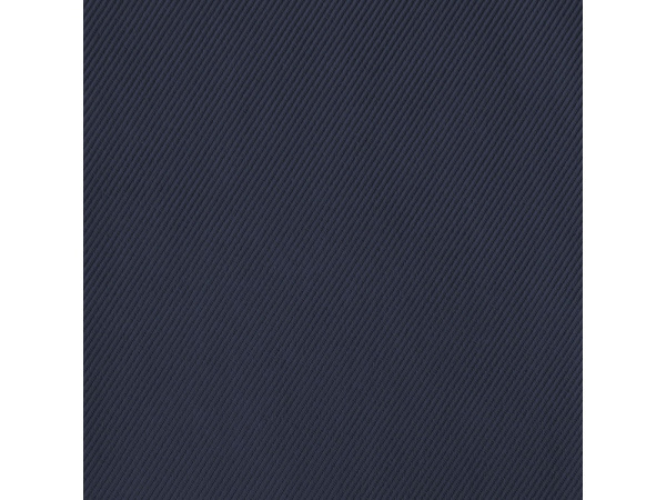 Мужская легкая куртка Palo, темно-синий