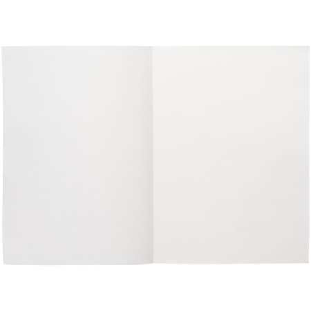 Ежедневник Flat Light, недатированный, иссиня-черный