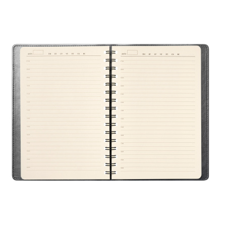 Ежедневник Виста Нео (Vista Neo) недатированный, серый