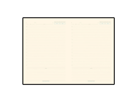 Ежедневник недатированный A5 Bridge