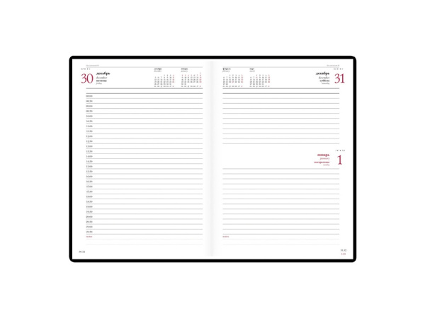 Ежедневник А5 датированный Velvet на 2026 год