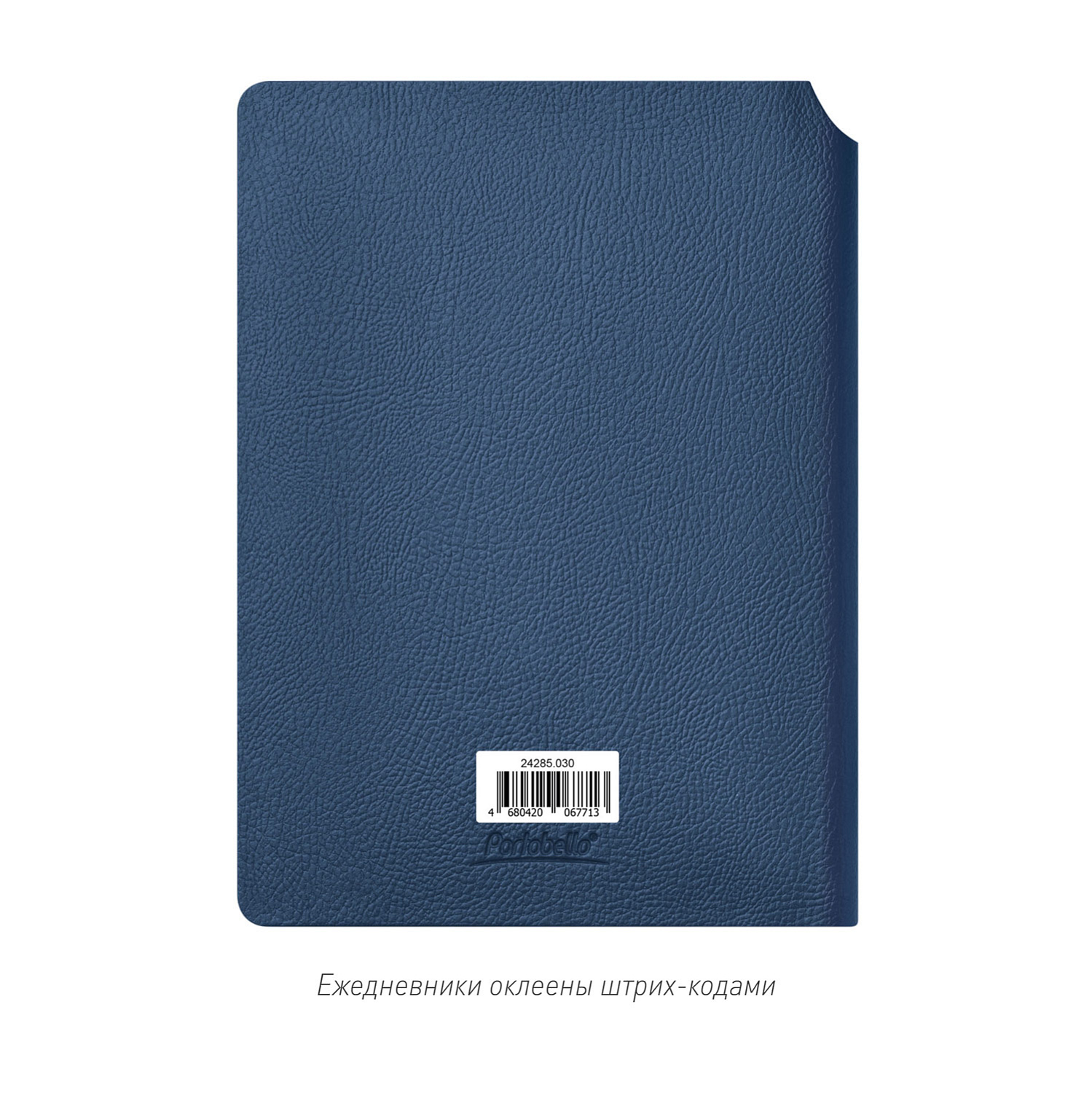 Ежедневник Molto недатированный, синий