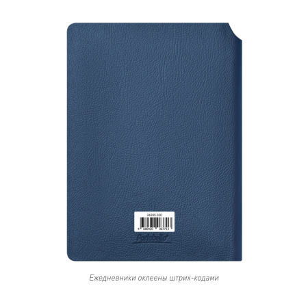 Ежедневник Molto недатированный, синий