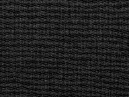 Сумка из плотного хлопка Carryme 220, черный