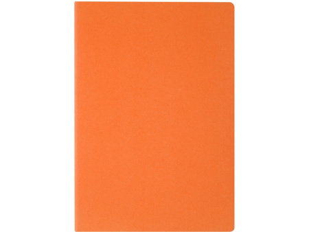 Бизнес-тетрадь А4 Pragmatic