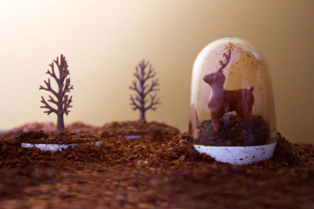 Ёмкости для специй в наборе Animal Parade