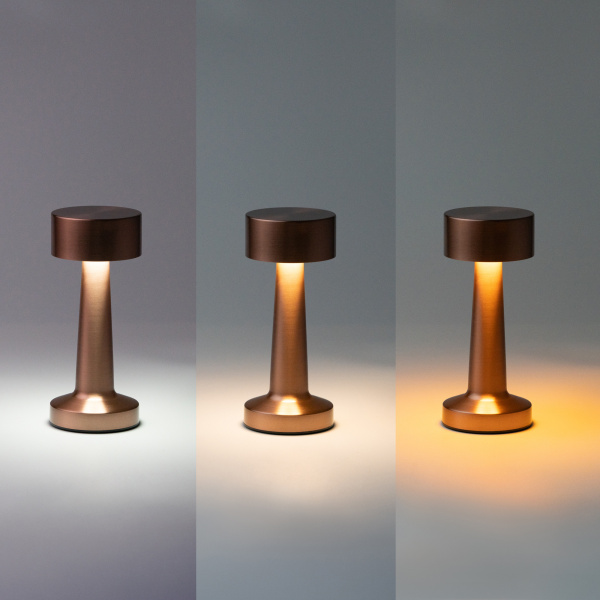 Настольная лампа REIKI cо встроенной батареей, золотой