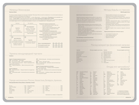 Ежедневник А5 датированный Megapolis Color 2026, бордовый