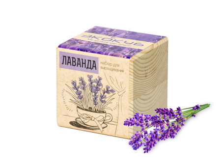 Набор для выращивания Лиственница Сибирская