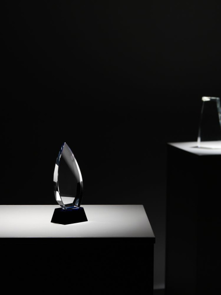 Награда Droplet