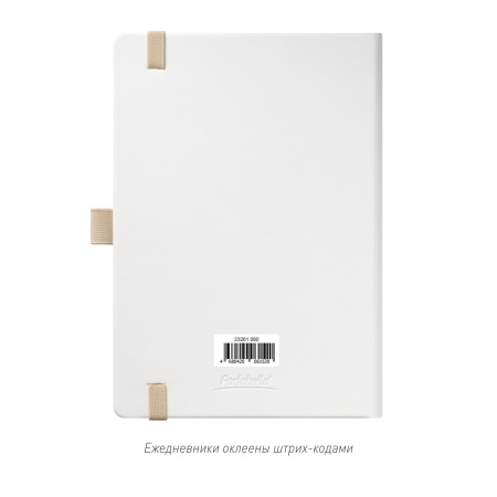 Ежедневник Arctic недатированный, белый/серый