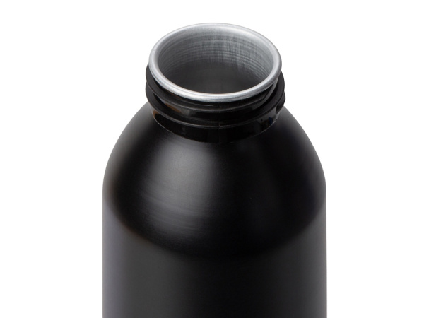 Алюминиевая бутылка для воды с ручкой Plain Alu, 650 мл