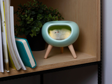 Ночник LED Koko