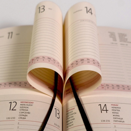 Еженедельник Week and Day