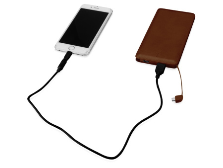 Портативное зарядное устройство Стор, 10000 mAh, коричневый