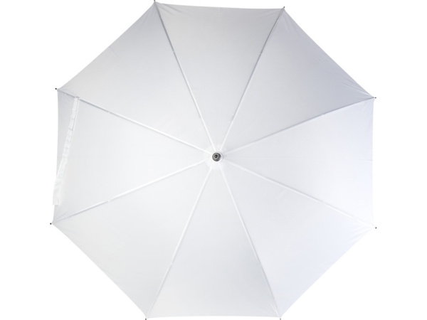 Зонт-трость Ibi