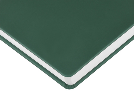 Ежедневник с каменной бумагой недатированный А5 Carrara, зеленый