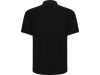 Рубашка поло Centauro Premium мужская, черный