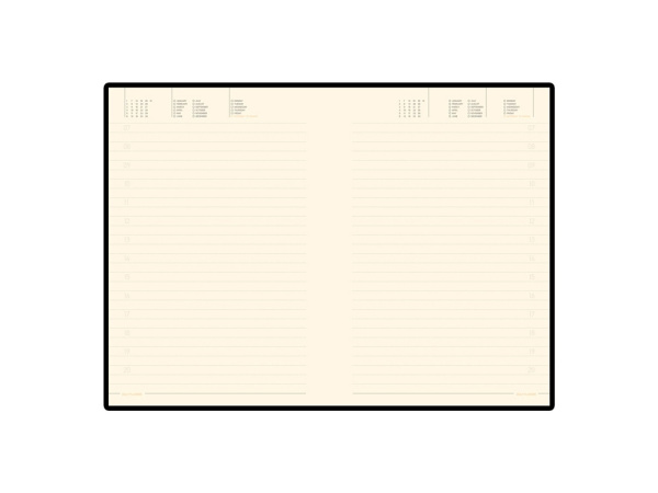 Ежедневник недатированный A5 Trend