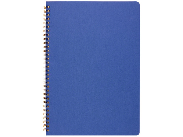 Бизнес тетрадь на гребне А4 Pragmatic, 100 листов в клетку, синий