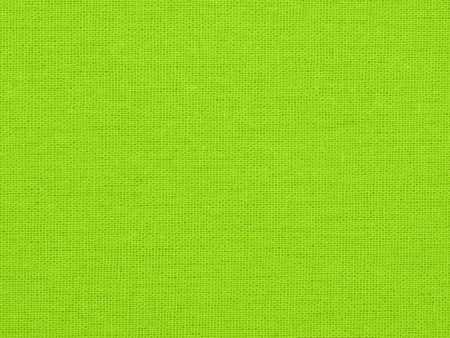 Сумка для шопинга Carryme 120 хлопковая, 120 г/м2, зеленое яблоко