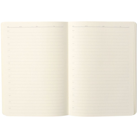 Ежедневник Eco Write, недатированный