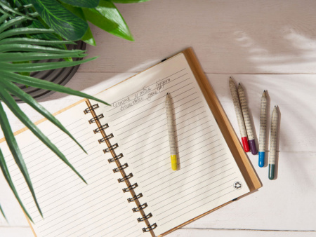 Растущий карандаш mini Magicme (1шт) - Ель Голубая