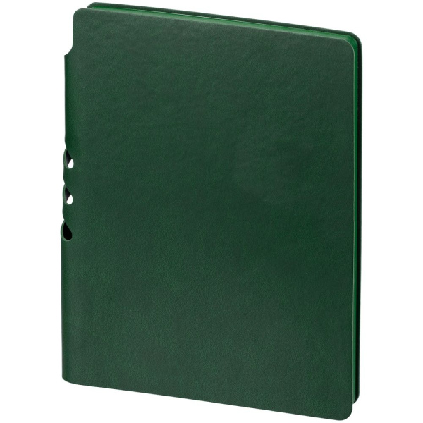 Ежедневник Flexpen Color, датированный, зеленый