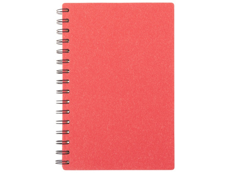 Блокнот А5 на спирали Mania