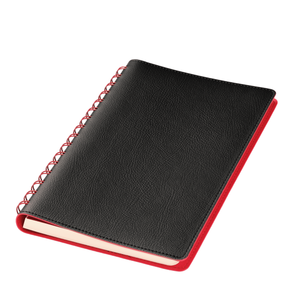 Ежедневник Vista недатированный, черный/красный