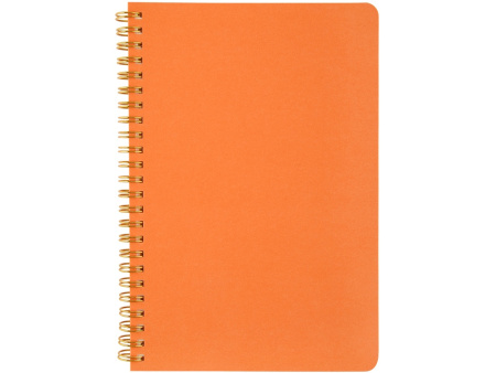 Бизнес тетрадь А5 Pragmatic