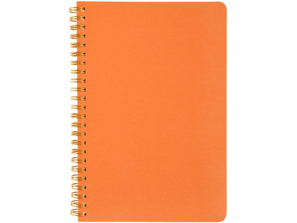 Бизнес тетрадь А5 Pragmatic