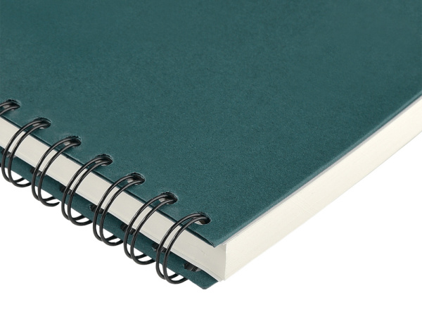 Ежедневник недатированный на гребне А5 Pragmatic, темно-зеленый