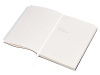 Бизнес-блокнот C1 софт-тач, гибкая обложка, 128 листов, белый