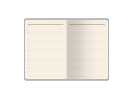 Ежедневник недатированный А5 Boston