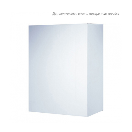 Бизнес рюкзак Taller  с USB разъемом, черный