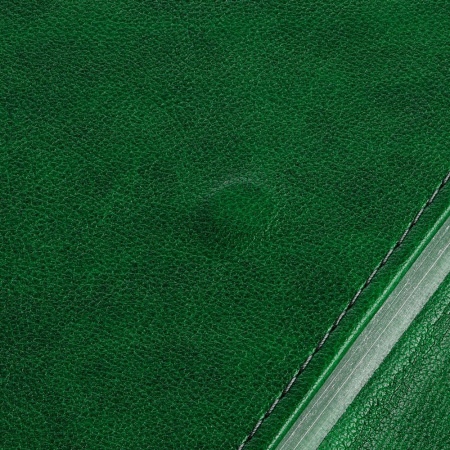 Ежедневник Flap на заказ, недатированный, зеленый