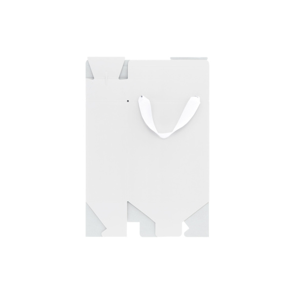 Подарочная коробка-пакет универсальная малая, белая