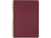 Бизнес тетрадь на гребне А5 Pragmatic, 60 листов в клетку, бордовый