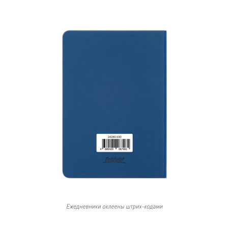Ежедневник Spark mini A6 недатированный, синий