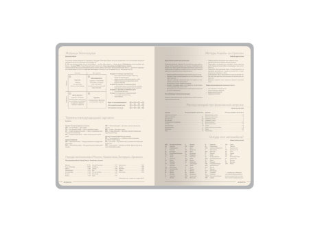 Ежедневник А5 датированный Megapolis Loft на 2026, бордовый