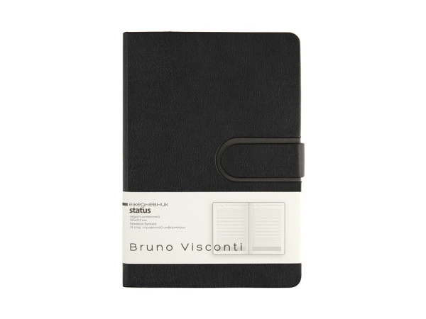 Ежедневник недатированный А5 Status