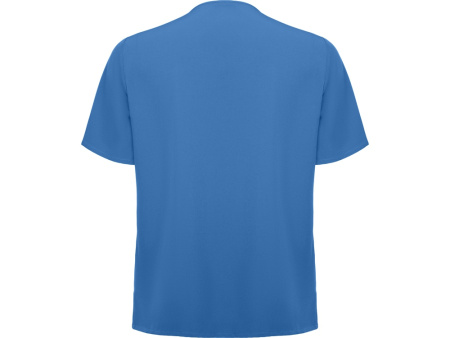 Рубашка мужская Ferox, голубой