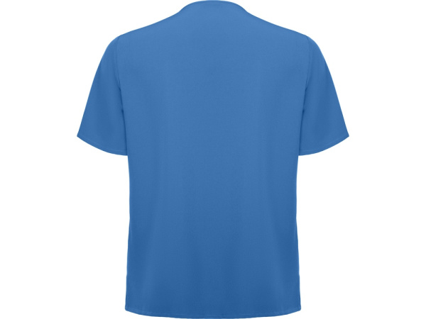 Рубашка мужская Ferox, голубой